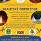 Skautské odpoledne